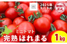 【朝採れ最短発送！】完熟ほれまる ミニトマト1kg