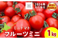 【2026年先行予約】【朝採れ最短発送！】フルーツミニ ミニトマト1kg