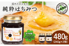 東神楽産採れたまんまの純粋はちみつ 240ｇ2個【8月採蜜】イタドリ・オオハンゴンソウ・ソバ 　蜂蜜 ハチミツ