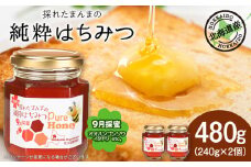 東神楽産採れたまんまの純粋はちみつ 240ｇ2個【9月採密】オオハンゴンソウ・イタドリ 蜂蜜 ハチミツ