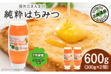 東神楽産採れたまんまの純粋はちみつ 300ｇ2個【7月採密】クローバー 蜂蜜 ハチミツ