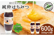 東神楽産採れたまんまの純粋はちみつ 300ｇ2個【8月採蜜】イタドリ・オオハンゴンソウ・ソバ 　蜂蜜 ハチミツ