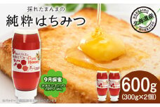 東神楽産採れたまんまの純粋はちみつ 300ｇ2個【9月採蜜】オオハンゴンソウ・イタドリ 蜂蜜 ハチミツ