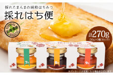 採れはち便　30ｇ×3個入り×3　蜂蜜 はちみつ ハチミツ クローバー オオハンゴンソウ イタドリ ソバ