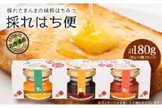 採れはち便　30ｇ×3個入り×2　蜂蜜 はちみつ ハチミツ クローバー オオハンゴンソウ イタドリ ソバ