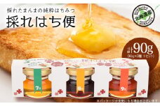 採れはち便　30ｇ×3個入り×1 蜂蜜 はちみつ ハチミツ クローバー オオハンゴンソウ イタドリ ソバ