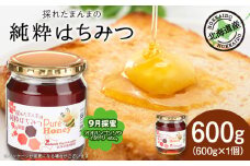 東神楽産採れたまんまの純粋はちみつ 600ｇ1個【9月採蜜】オオハンゴンソウ・イタドリ 蜂蜜 ハチミツ