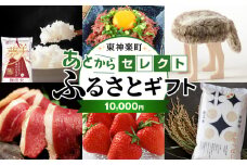 あとからセレクト 【ふるさとギフト】《10,000円分》