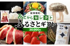 あとからセレクト 【ふるさとギフト】《30,000円分》
