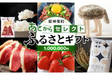あとからセレクト 【ふるさとギフト】《1,000,000円分》