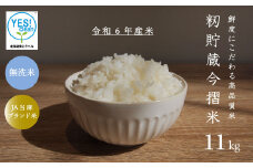 令和6年産 籾貯蔵今摺米きたくりん無洗米 11kg  (5.5kg×2袋) 