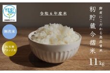 令和6年産 籾貯蔵今摺米きたくりん無洗米 11kg  (5.5kg×2袋) 
