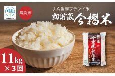 令和7年産 今摺米きたくりん 無洗米 11kg×3回コース【定期便】