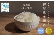 令和6年産 今摺米きたくりん 無洗米 11kg×5回コース【定期便】