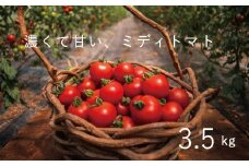 【2025年産予約受付】 フルーツトマト 3.5kg のんの畑北海道 ミディトマト 数量限定