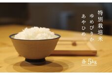 令和6年産 特別栽培米 食べ比べ 10kg ゆめぴりか あやひめ 当麻グリーンライフ　