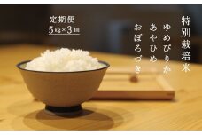 令和6年産 特別栽培米 ゆめぴりか あやひめ おぼろづき 食べ比べ 定期便 当麻グリーンライフ　