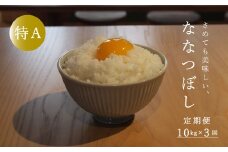 【令和7年産先行受付】長谷川農園ななつぼし10kg（3回コース）【定期便】