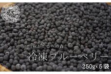 当麻かたるべの森　冷凍ブルーベリー 1.25kg 当麻かたるべの森【思いやり型返礼品】