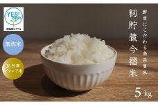 令和7年産 籾貯蔵今摺米きたくりん 無洗米 5kg