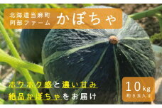 【2025年産先行受付】かぼちゃ10kg　北海道当麻町産ダークホース