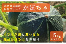 【2025年産先行受付】かぼちゃ5kg　北海道当麻町産ダークホース