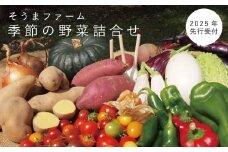 【2025年産受付】 相馬ファーム季節の野菜詰め合わせ
