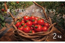 【2025年産予約受付】 フルーツトマト 2kg のんの畑北海道 ミディトマト 数量限定
