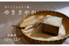 長谷川農園ゆきさやか10kg（12回コース）【定期便】