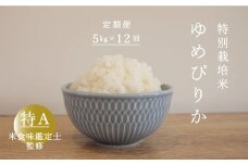 【令和7年産先行受付】 【定期便】特別栽培米ゆめぴりか 5kg×12回 舟山農産 米食味鑑定士 三ツ星お米マイスター 栽培 監修