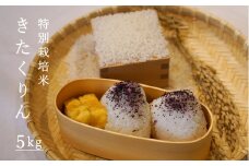 令和6年産 特別栽培米きたくりん 5kg 舟山農産
