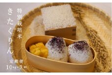 令和6年産【定期便】特別栽培米きたくりん 10kg×3回 舟山農産