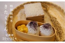 令和6年産【定期便】特別栽培米きたくりん 10kg×12回 舟山農産