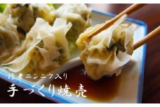 行者にんにく入り冷凍焼売　20個【九州・沖縄配送不可】