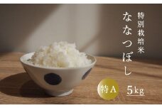 令和6年産 特別栽培米ななつぼし 5kg 舟山農産
