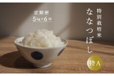 令和6年産【定期便】特別栽培米ななつぼし 5kg×6回 舟山農産