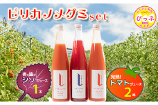 ピリカノメグミ（トマトジュース無塩 2本・シソジュース 1本） 各500ml×3本セット【今野農園】とまと 紫蘇 しそ 赤しそ ジュース 食塩不使用 濃厚 カクテル 料理 炭酸 飲料 北海道 比布町 ぴっぷ 1012-001