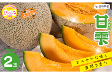 【2025年9月中旬頃発送】ぴっぷメロン「甘雫（あましずく）」 2玉【菅原農産】メロン めろん 果物 くだもの フルーツ 赤肉 秋 旬 お取り寄せ 北海道 比布町 ぴっぷ 1007-001