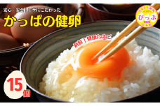 かっぱの健卵 15個入り【大熊養鶏場】たまご 卵 玉子 タマゴ 生卵 こだわり 卵かけご飯 TKG 国産 お取り寄せ 北海道 比布町 ぴっぷ 1006-001
