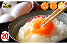 かっぱの健卵 20個入り【大熊養鶏場】たまご 卵 玉子 タマゴ 生卵 こだわり 卵かけご飯 TKG 国産 お取り寄せ 北海道 比布町 ぴっぷ 1006-002