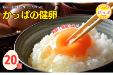 かっぱの健卵 20個入り【大熊養鶏場】たまご 卵 玉子 タマゴ 生卵 こだわり 卵かけご飯 TKG 国産 お取り寄せ 北海道 比布町 ぴっぷ 1006-002