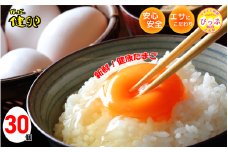 かっぱの健卵 30個入り【大熊養鶏場】たまご 卵 玉子 タマゴ 生卵 こだわり 卵かけご飯 TKG 国産 お取り寄せ 北海道 比布町 ぴっぷ 1006-003