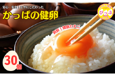 かっぱの健卵 30個入り【大熊養鶏場】たまご 卵 玉子 タマゴ 生卵 こだわり 卵かけご飯 TKG 国産 お取り寄せ 北海道 比布町 ぴっぷ 1006-003