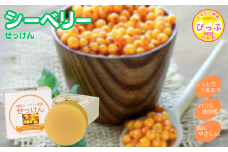シーベリーせっけん 80g【旭川砕石(株)】石鹸 石けん 洗顔 スキンケア シーベリー サジー 沙棘 北海道 比布町 ぴっぷ 1013-001