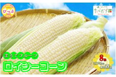 【2025年7月下旬頃発送】「ロイシーコーン」 8本 約1.6kg【たかだ畑】とうもろこし スイートコーン 白い 野菜 産地直送 とうきび BBQ バーベキュー キャンプ 甘い 北海道 比布町 ぴっぷ 1018-001