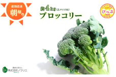 【2025年7月上旬頃から発送】比布町産 朝採れブロッコリー 2Lサイズ 約4kg【農業生産法人ノウリエ】野菜 新鮮 緑黄色野菜 国産 北海道産 朝採り 産地直送 北海道 比布町 ぴっぷ 1017-003