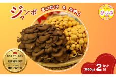 【きのこ品評会 最高賞受賞】ジャンボまいたけ・なめこセット 計860g【遠藤農産】きのこ キノコ セット 詰め合わせ 舞茸 滑子 国産 北海道産 北海道 比布町 ぴっぷ 1002-001