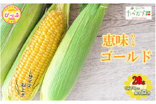 【2025年7月下旬頃発送】「恵味ゴールド」 20本 Lサイズ以上 約4kg【たかだ畑】めぐみゴールド とうもろこし スイートコーン 産地直送 とうきび BBQ バーベキュー 甘い 北海道 比布町 ぴっぷ 1018-005