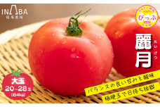 「麗月」れいげつ 大玉 20～28玉 約4kg【稲場農場】トマト とまと 野菜 甘み 酸味 濃厚 ジューシー 産地直送 北海道 比布町 ぴっぷ 1024-002