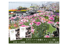 あとから選べる【体験型プランカタログギフト】TAISETSU TIME with CRAFTMAN【DMO】大雪エリア 体験 現地 訪問 クラフト 見学 ワークショップ ツアー 北海道 比布町 ぴっぷ 1025-001